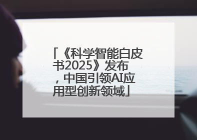 《科学智能白皮书2025》发布，中国引领AI应用型创新领域