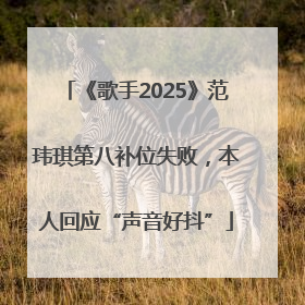 《歌手2025》范玮琪第八补位失败，本人回应“声音好抖”