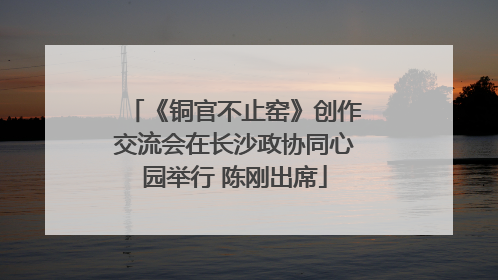 《铜官不止窑》创作交流会在长沙政协同心园举行 陈刚出席
