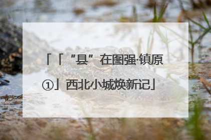 「“县”在图强·镇原①」西北小城焕新记