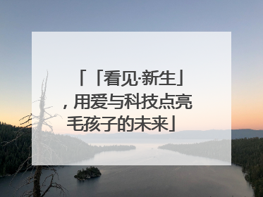 「看见·新生」，用爱与科技点亮毛孩子的未来