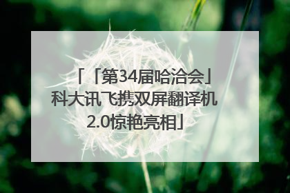 「第34届哈洽会」科大讯飞携双屏翻译机2.0惊艳亮相