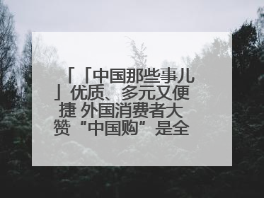 「中国那些事儿」优质、多元又便捷 外国消费者大赞“中国购”是全新体验！