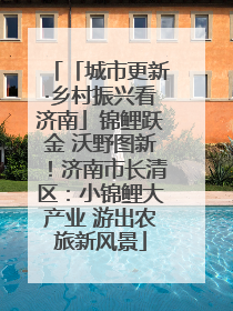 「城市更新·乡村振兴看济南」锦鲤跃金 沃野图新！济南市长清区：小锦鲤大产业 游出农旅新风景