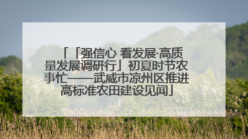 「强信心 看发展·高质量发展调研行」初夏时节农事忙——武威市凉州区推进高标准农田建设见闻