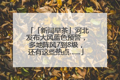 「新闻早茶」河北发布大风蓝色预警，多地阵风7到8级，还有这些热点……