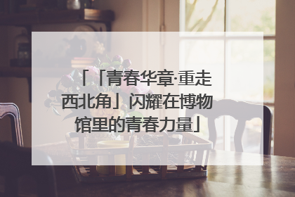 「青春华章·重走西北角」闪耀在博物馆里的青春力量