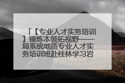 【专业人才实务培训】锤炼本领拓视野——局系统地质专业人才实务培训班赴桂林学习岩溶地质防灾与韧性城市建设前沿实践
