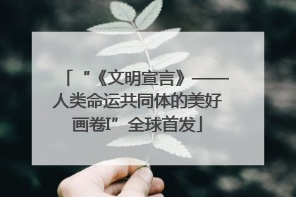 “《文明宣言》——人类命运共同体的美好画卷I”全球首发