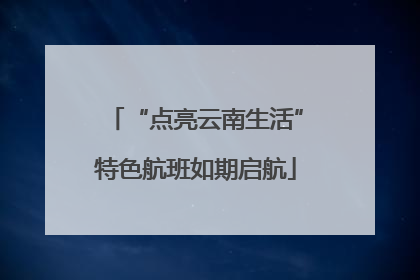 “点亮云南生活”特色航班如期启航