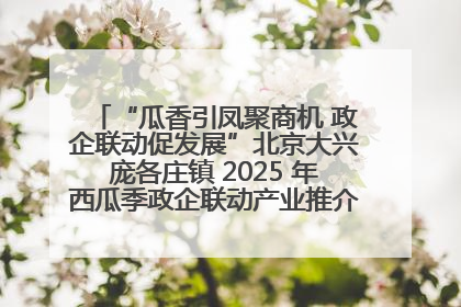 “瓜香引凤聚商机 政企联动促发展”北京大兴庞各庄镇 2025 年西瓜季政企联动产业推介活动圆满举行