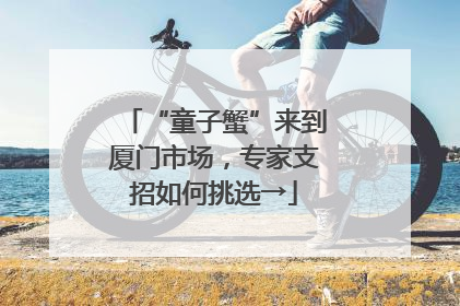 “童子蟹”来到厦门市场，专家支招如何挑选→