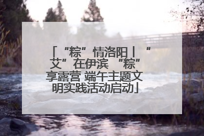 “粽”情洛阳丨“艾”在伊滨 “粽”享露营 端午主题文明实践活动启动