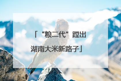 “粮二代”蹚出湖南大米新路子