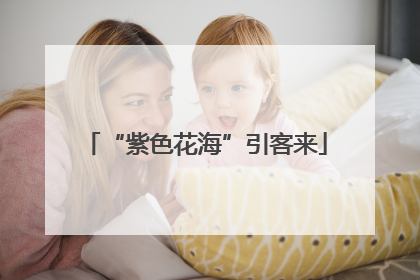 “紫色花海”引客来