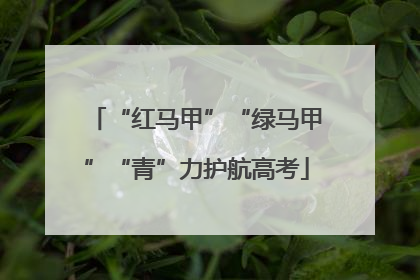 “红马甲”“绿马甲”“青”力护航高考