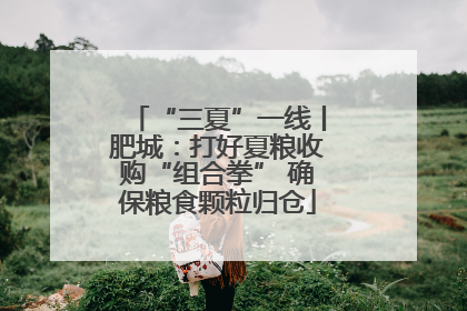 “三夏”一线丨肥城：打好夏粮收购“组合拳” 确保粮食颗粒归仓