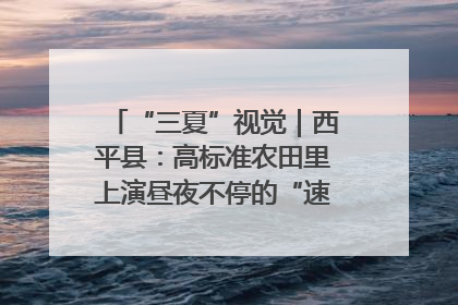 “三夏”视觉｜西平县：高标准农田里上演昼夜不停的“速度与激情”