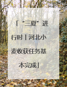 “三夏”进行时丨河北小麦收获任务基本完成