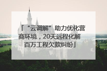 “云调解”助力优化营商环境，20天远程化解百万工程欠款纠纷