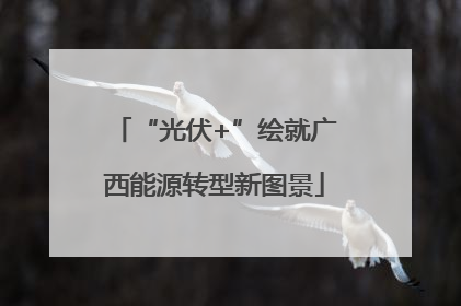 “光伏+”绘就广西能源转型新图景