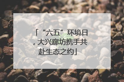 “六五”环境日，大兴廊坊携手共赴生态之约