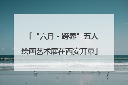 “六月 - 跨界”五人绘画艺术展在西安开幕