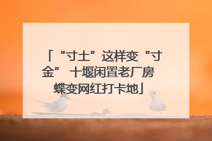 “寸土”这样变“寸金” 十堰闲置老厂房蝶变网红打卡地