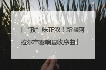 “孜”味正浓！新疆阿拉尔市奏响夏收序曲