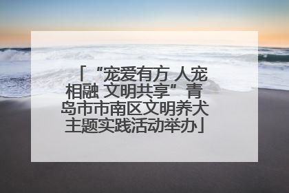 “宠爱有方 人宠相融 文明共享”青岛市市南区文明养犬主题实践活动举办