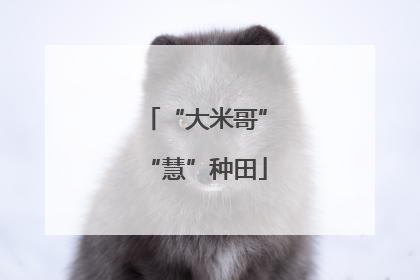 “大米哥”“慧”种田