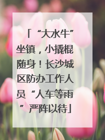 “大水牛”坐镇，小撬棍随身！长沙城区防办工作人员“人车等雨”严阵以待