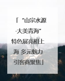 “山宗水源·大美青海”特色展亮相上海 多元魅力引客商聚焦