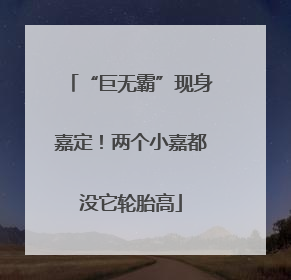 “巨无霸”现身嘉定！两个小嘉都没它轮胎高