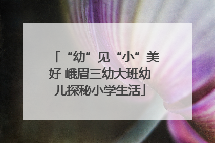 “幼”见“小”美好 峨眉三幼大班幼儿探秘小学生活