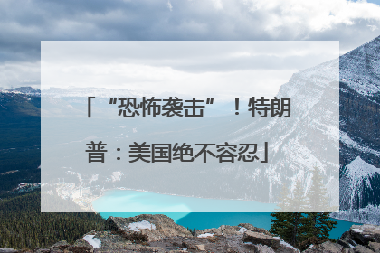“恐怖袭击”！特朗普：美国绝不容忍