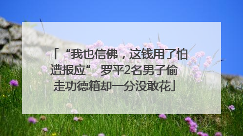 “我也信佛，这钱用了怕遭报应” 罗平2名男子偷走功德箱却一分没敢花