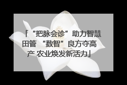 “把脉会诊”助力智慧田管 “数智”良方夺高产 农业焕发新活力