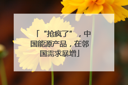 “抢疯了”，中国能源产品，在邻国需求暴增