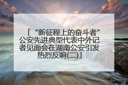 “新征程上的奋斗者”公安先进典型代表中外记者见面会在湖南公安引发热烈反响(二)
