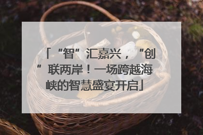 “智”汇嘉兴，“创”联两岸！一场跨越海峡的智慧盛宴开启