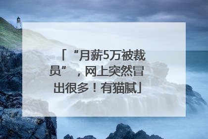 “月薪5万被裁员”，网上突然冒出很多！有猫腻