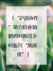 “沪滇协作”助力待补镇鹧鸡村跑出乡村振兴“加速度”