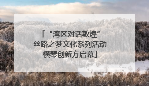 “湾区对话敦煌” 丝路之梦文化系列活动横琴创新方启幕