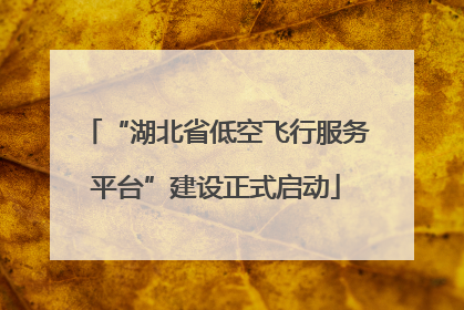 “湖北省低空飞行服务平台”建设正式启动