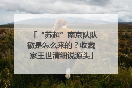 “苏超”南京队队徽是怎么来的？收藏家王世清细说源头