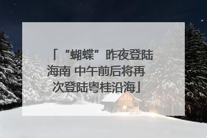 “蝴蝶”昨夜登陆海南 中午前后将再次登陆粤桂沿海
