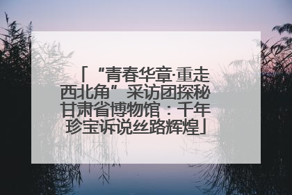 “青春华章·重走西北角”采访团探秘甘肃省博物馆：千年珍宝诉说丝路辉煌
