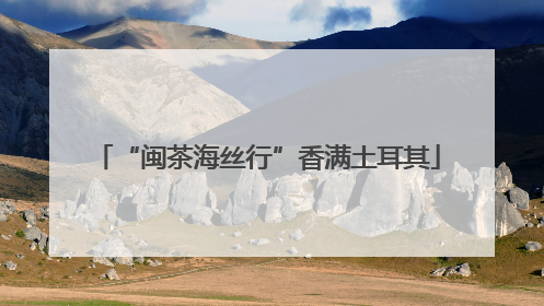 “闽茶海丝行”香满土耳其