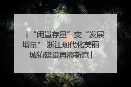 “闲置存量”变“发展增量” 浙江现代化美丽城镇建设再添新意
